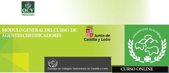 CURSO DE AGENTES CERTIFICADORES DE CASTILLA Y LEÓN. MODULO GENERAL 2024
