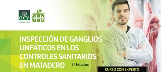 INSPECCIÓN DE GANGLIOS LINFÁTICOS EN LOS CONTROLES SANITARIOS EN MATADERO