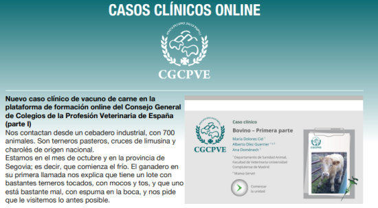 Caso clínico Bovino