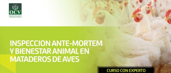 INSPECCION ANTE-MORTEM Y BIENESTAR ANIMAL EN MATADEROS DE AVES