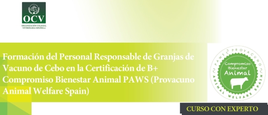 Formación del Personal Responsable de Granjas de Vacuno de Cebo en la Certificación de B+ Compromiso Bienestar Animal PAWS (Provacuno Animal Welfare Spain)
