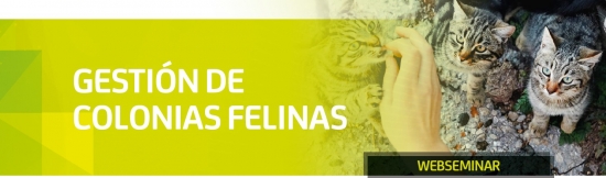 GESTIÓN DE COLONIAS FELINAS