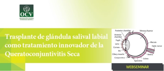Trasplante de glándula salival labial como tratamiento innovador de la Queratoconjuntivitis Seca