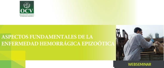 ASPECTOS FUNDAMENTALES DE LA ENFERMEDAD HEMORRÁGICA EPIZOÓTICA