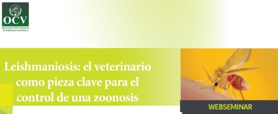 Leishmaniosis: el veterinario como pieza clave para el control de una zoonosis