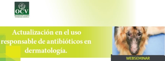 Actualización en el uso responsable de antibióticos en dermatología